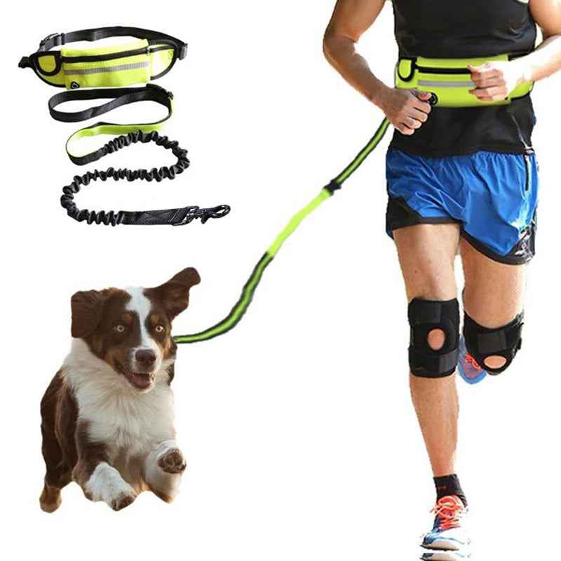 Hands-Free Dog Leash for Large & Small Dogs - Shock Absorbing & Adjustable with Phone Pocket - LumaLair