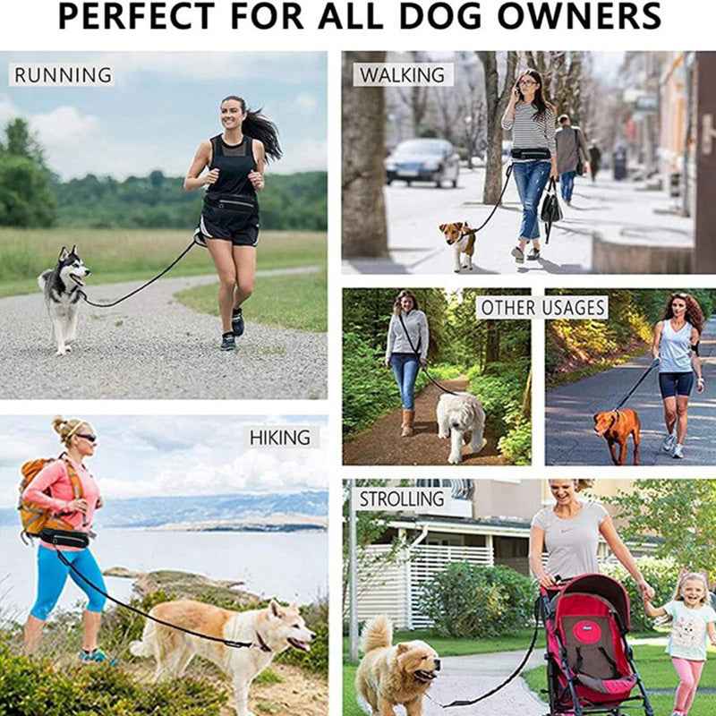 Hands-Free Dog Leash for Large & Small Dogs - Shock Absorbing & Adjustable with Phone Pocket - LumaLair