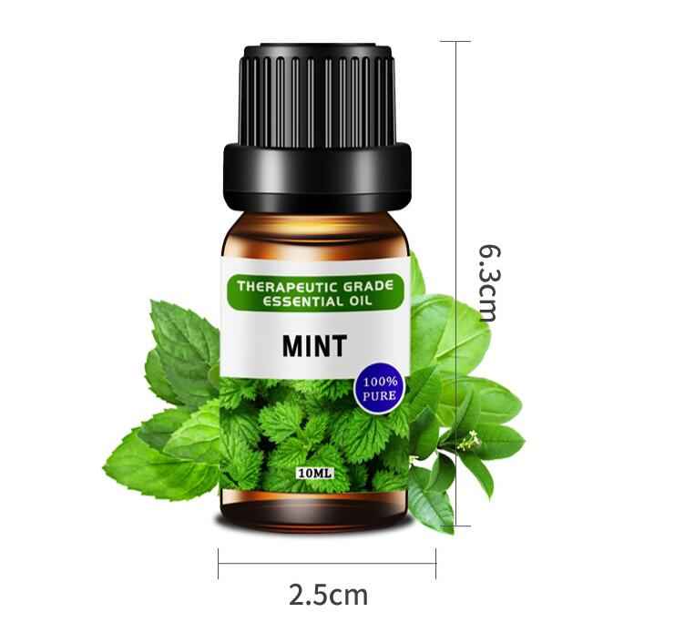 LumaLair Aromatherapy Essential Oil Kit – Elevate Your Senses with 10ML Bliss - LumaLair