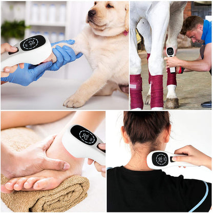 Red Light Physiotherapy Handheld